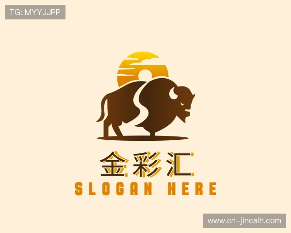 发现金彩汇购彩